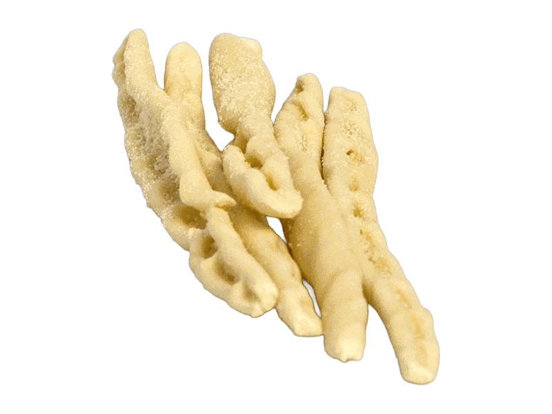 Cavati – Artepasta